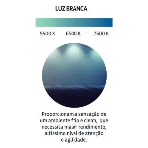 Lâmpada LED Bulbo Base E27 9W Bivolt 6500 K Luz Branca - Tramontina - Imagem 4