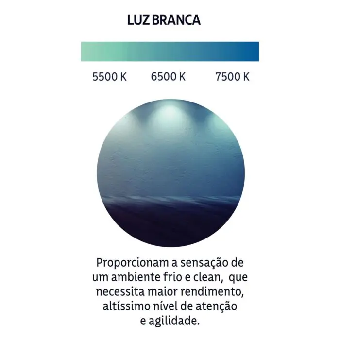 Lâmpada LED Bulbo Base E27 9W Bivolt 6500 K Luz Branca - Tramontina - Imagem 4