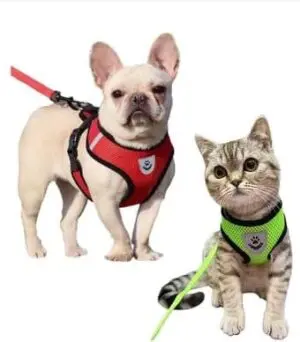 Coleira Peitoral para Cães-Impo Pet - Imagem 3