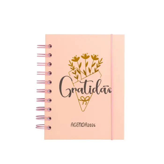 Agenda 2026 168 Folhas de Papel 104mm X 141mm Interponte-Sortido - Imagem 1