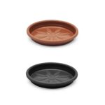 Prato Redondo N°2 - Plasmont